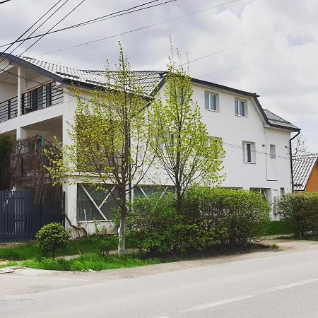 Casa Sancrai Apartment Targu Mures Exterior photo